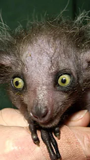 Talkie AI - Chat with 💊AYE AYE💊