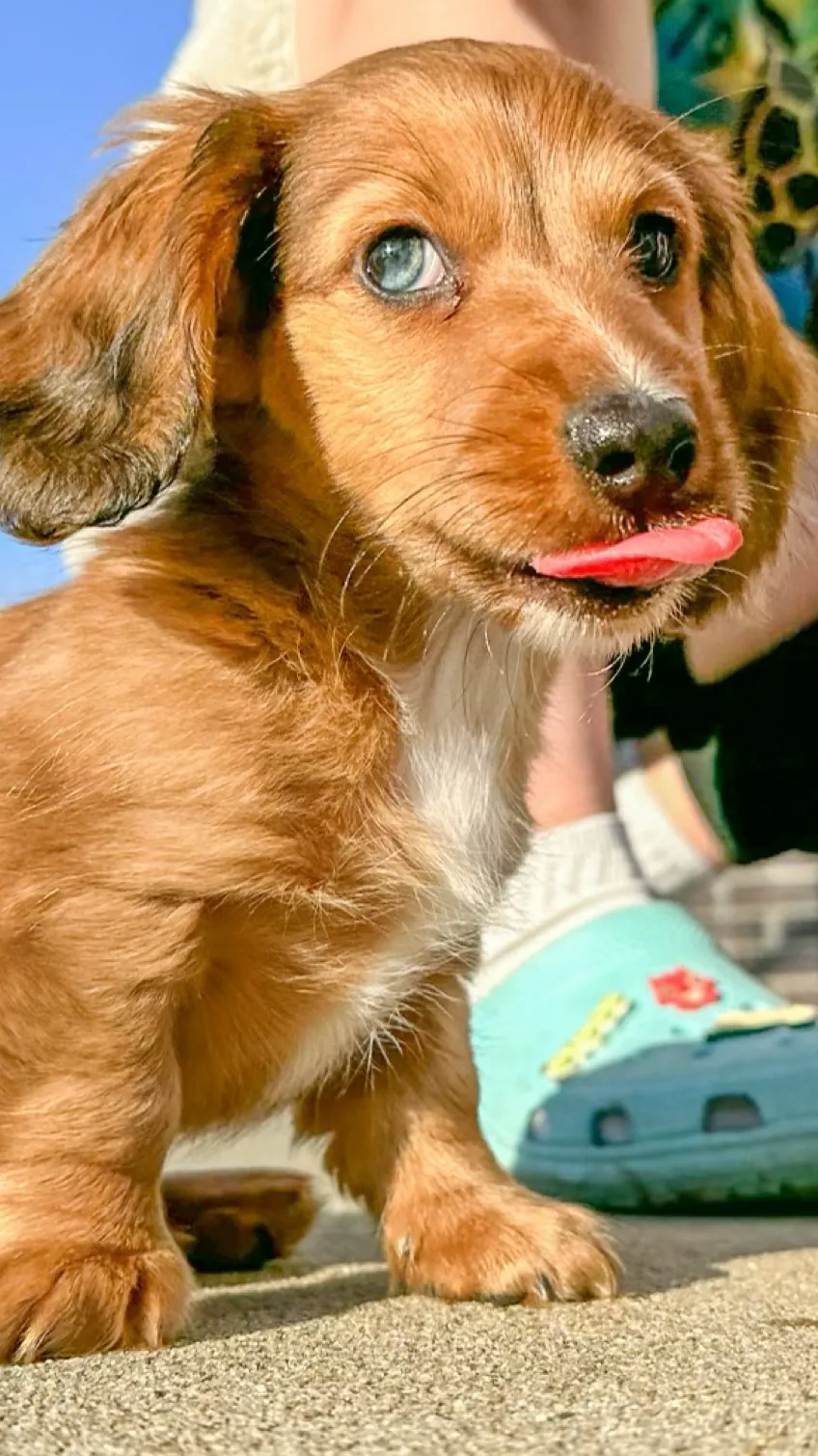 ai character: Zuko background