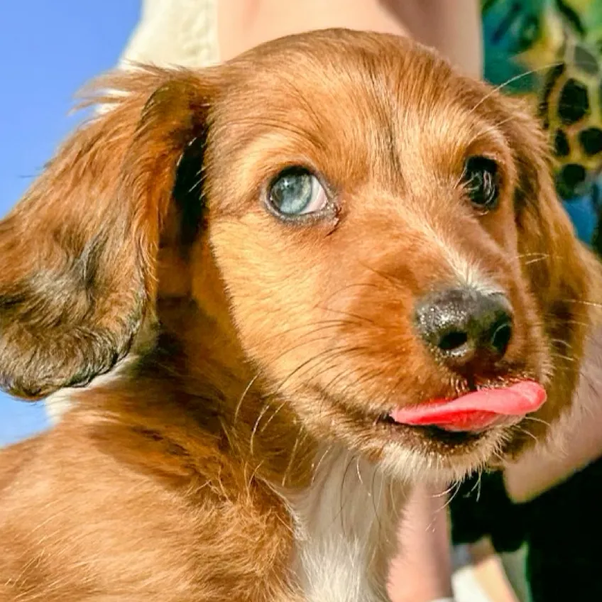 chat with ai character: Zuko