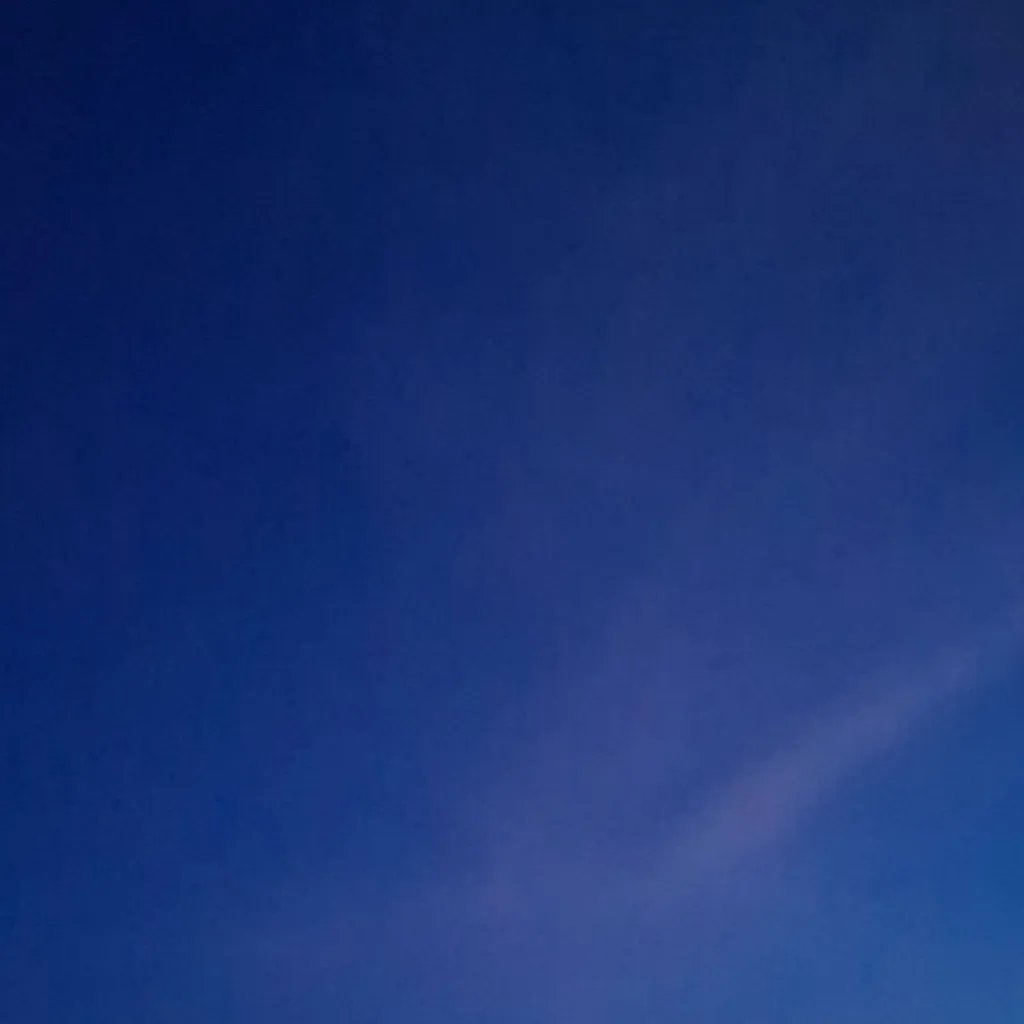 chat with ai character: Ninjago celebrate