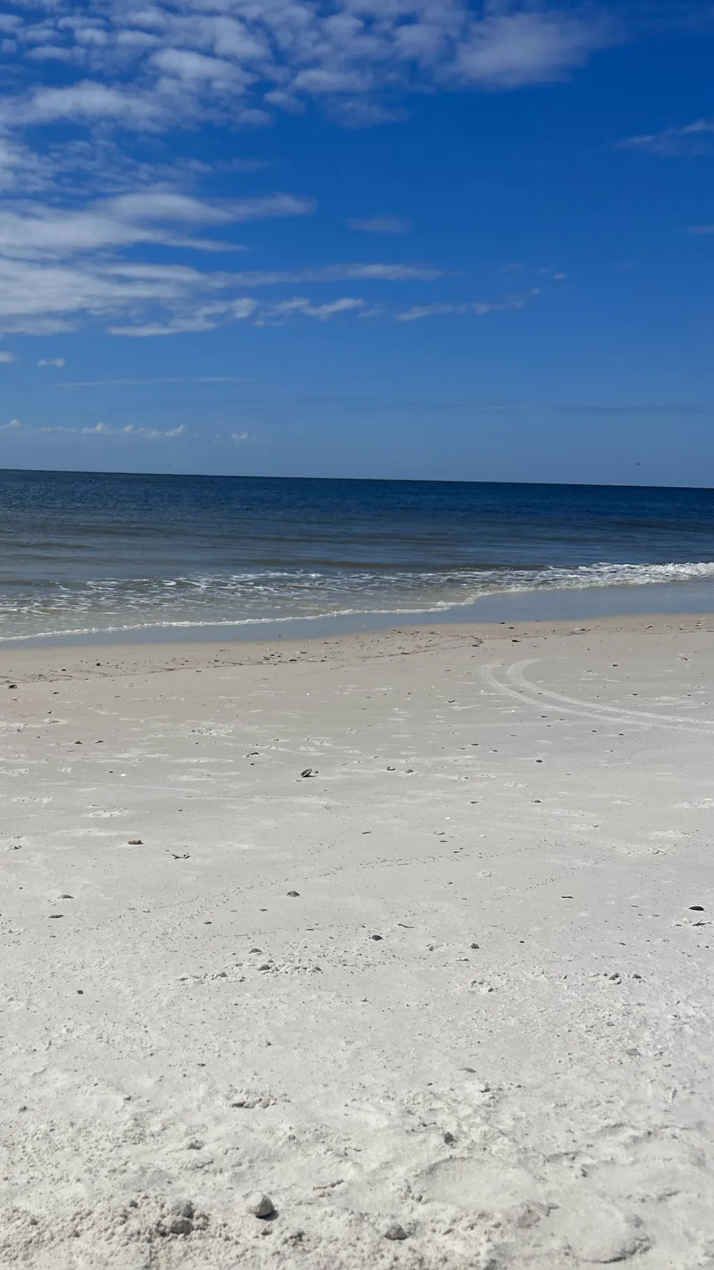 Talkie AI - Chat with Alex and rose