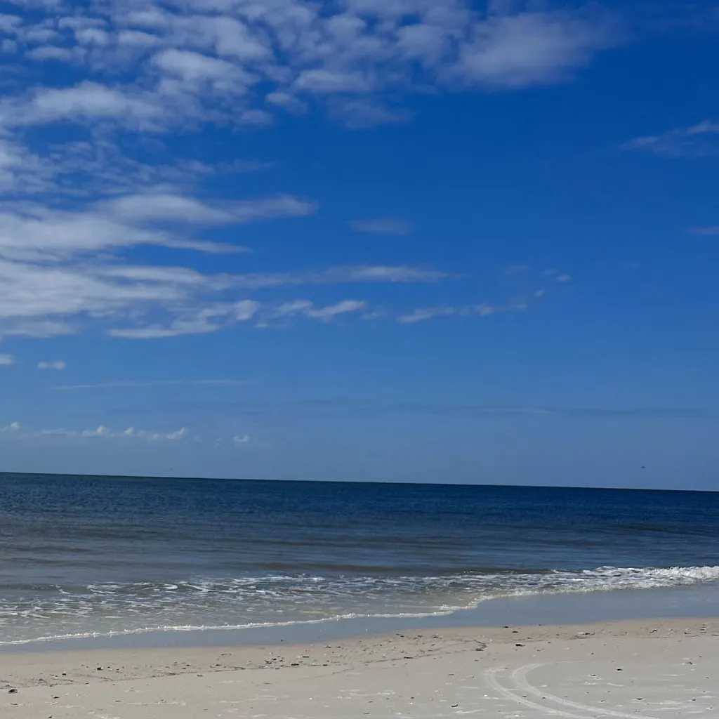 chat with ai character: Alex and rose