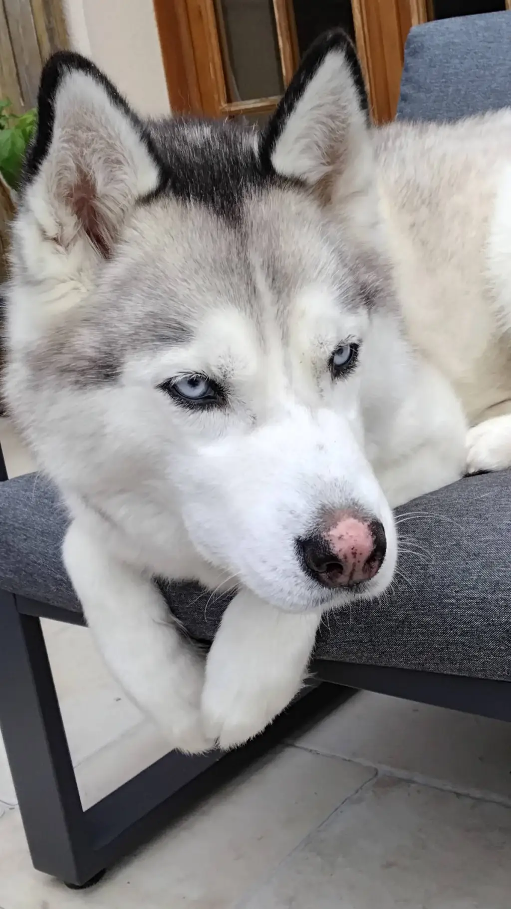 ai character: Athéna  background