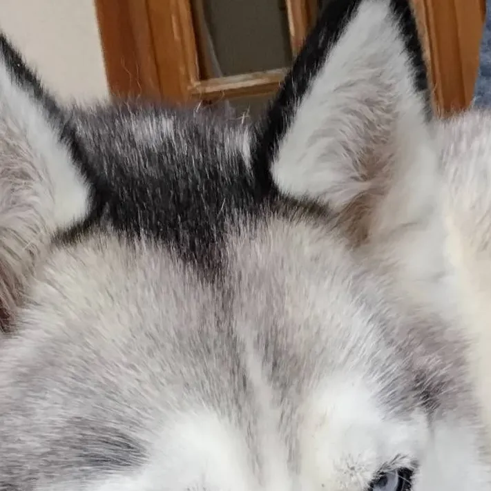 chat with ai character: Athéna 