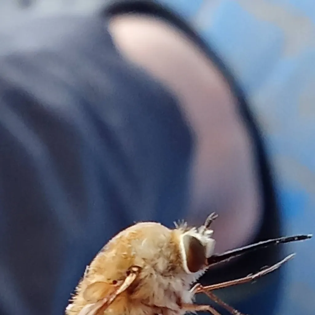 chat with ai character: Johann