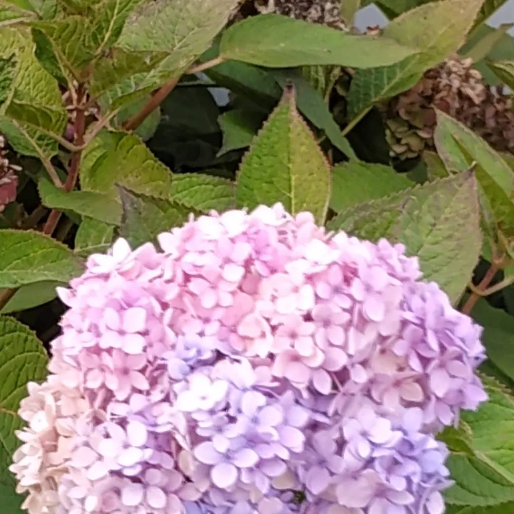 chat with ai character: Blank Dummy 