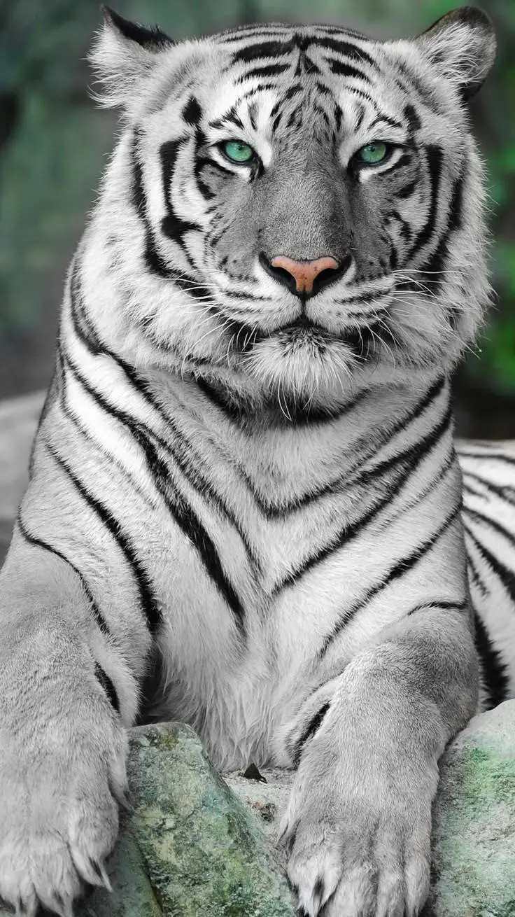 ai character: tigre bengala background