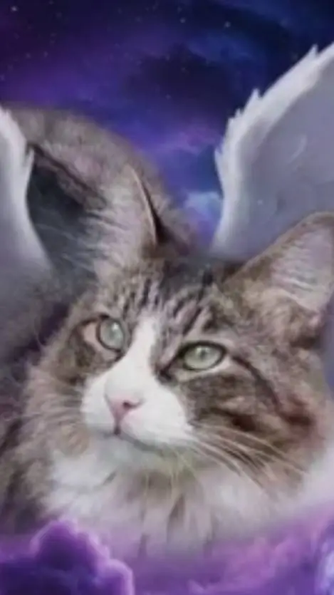 ai character: ayuda a liza baez background