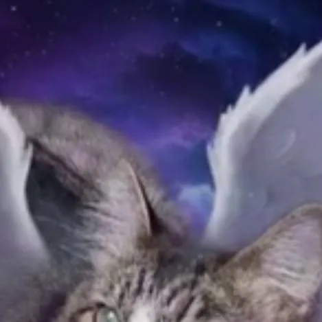 chat with ai character: ayuda a liza baez