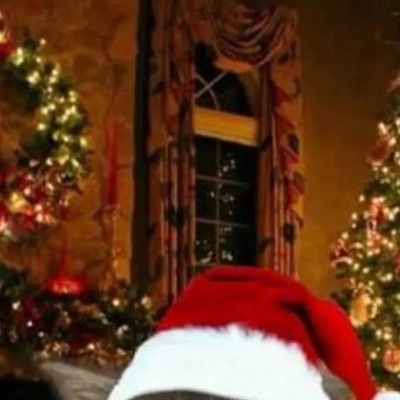 chat with ai character: Christmas cat 🎄