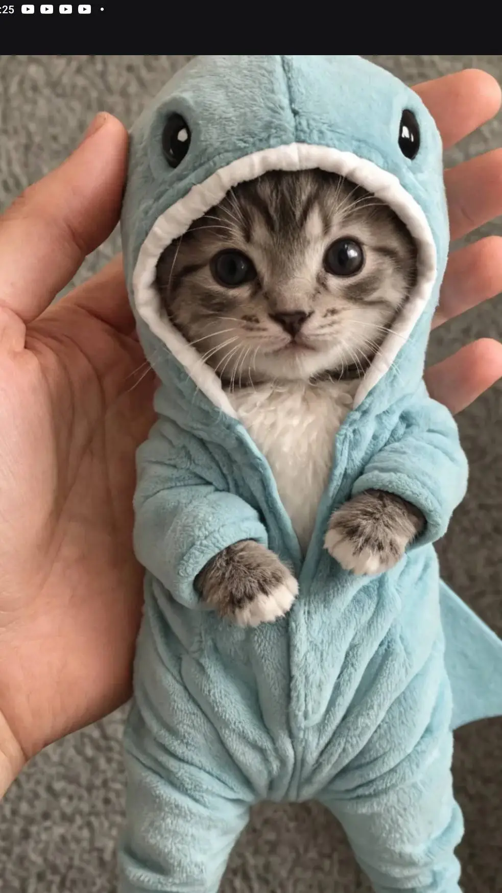 ai character: cute kitten background