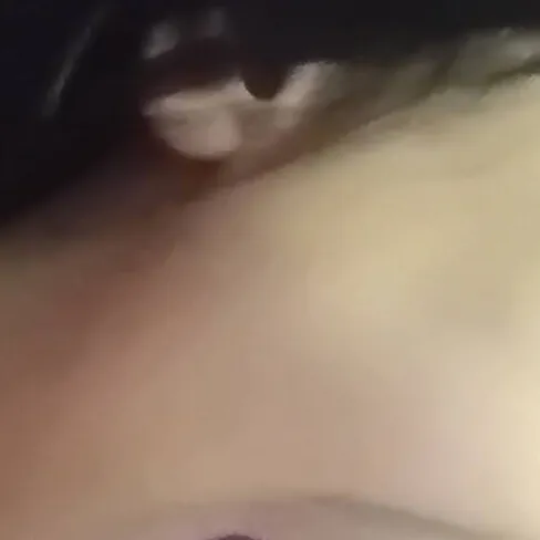 chat with ai character: bella