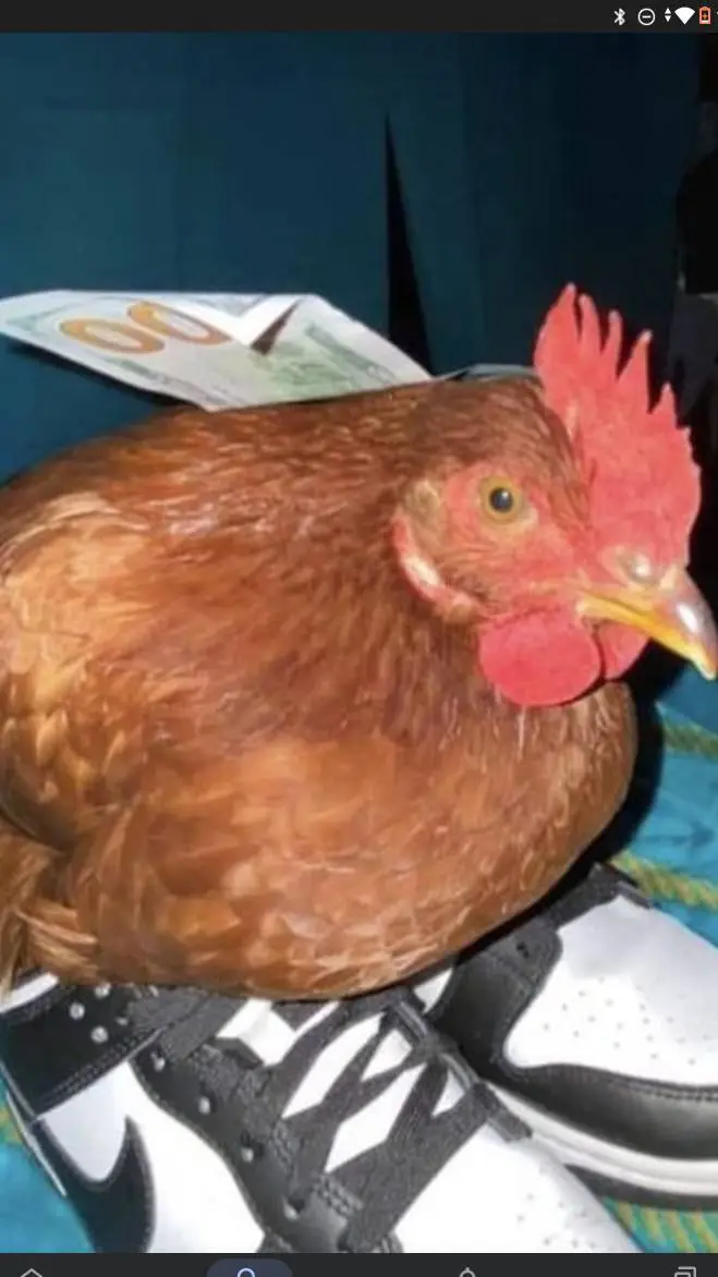 ai character: NoSe_Xd:3 background