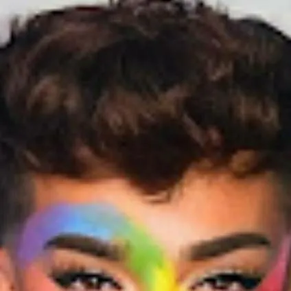 chat with ai character: JAMES CHARLES gay?