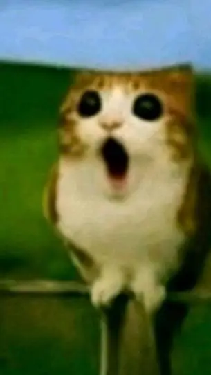 ai character: ROASTING BATTLE  background