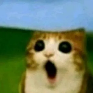 chat with ai character: ROASTING BATTLE 