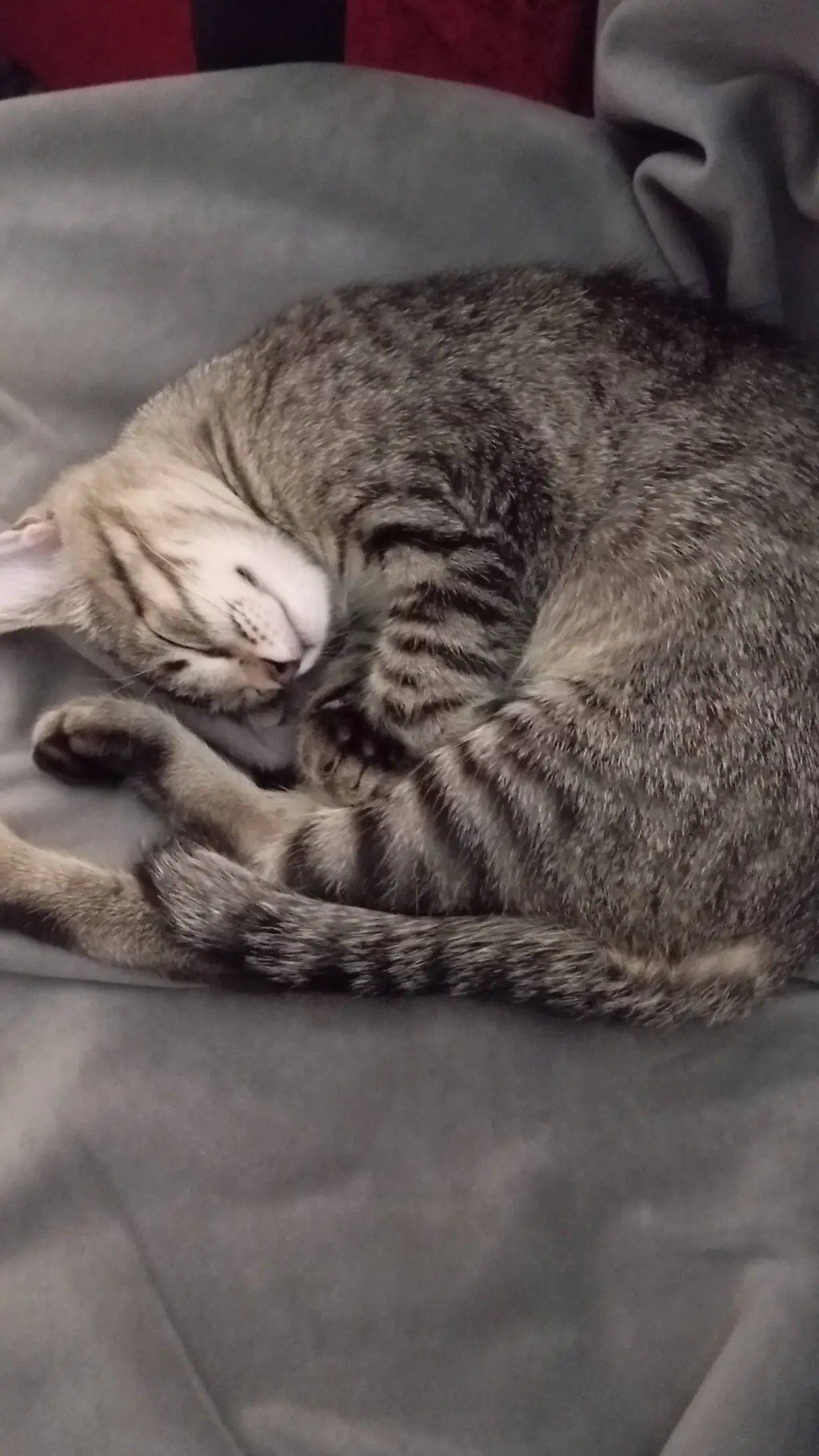 ai character: Тиша background