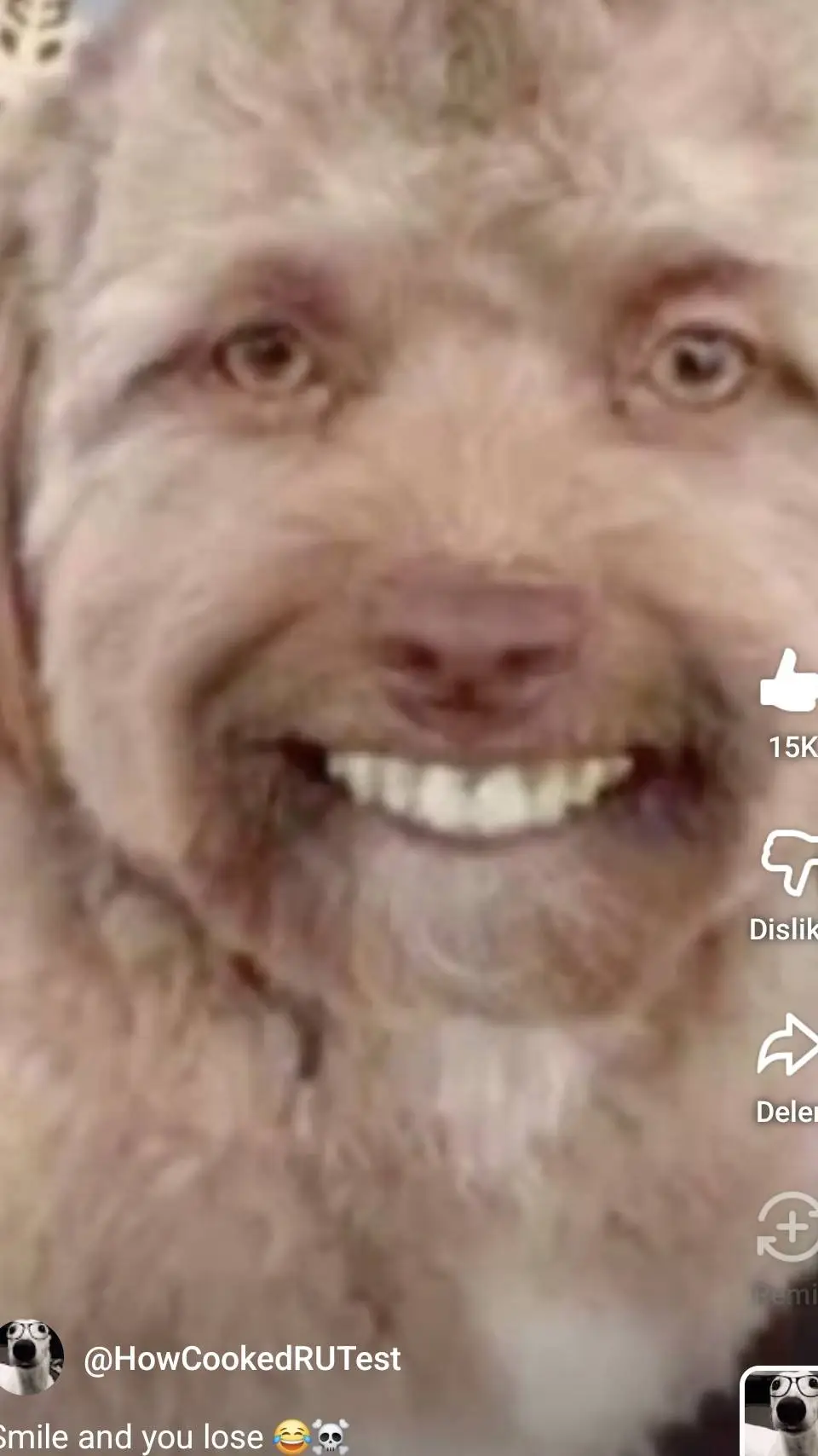 ai character: your local Karen  background