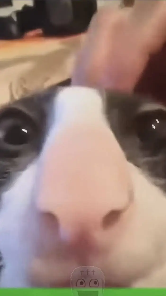 ai character: Larry background