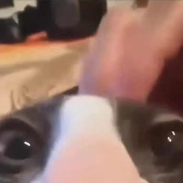 chat with ai character: Larry