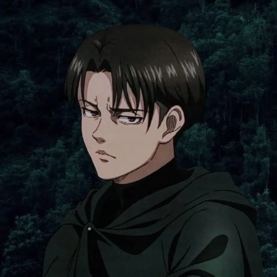 chat with ai character: Levi Ackerman