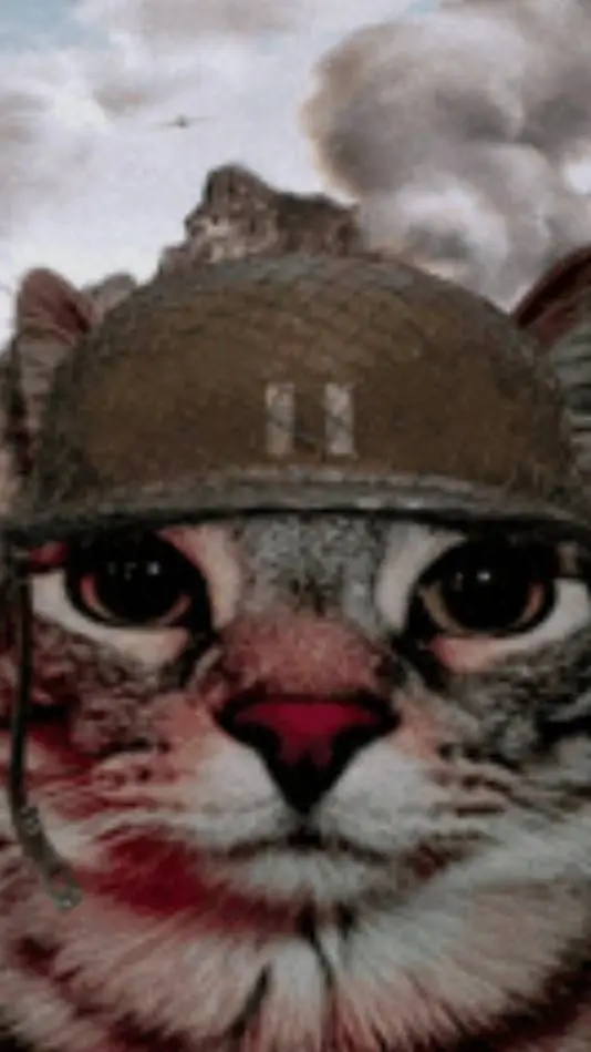 ai character: military cat background