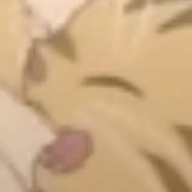 chat with ai character: bakugo