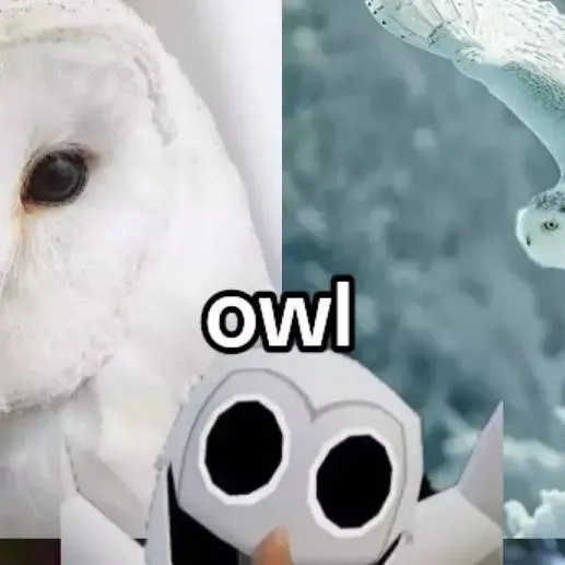 chat with ai character: faker_935