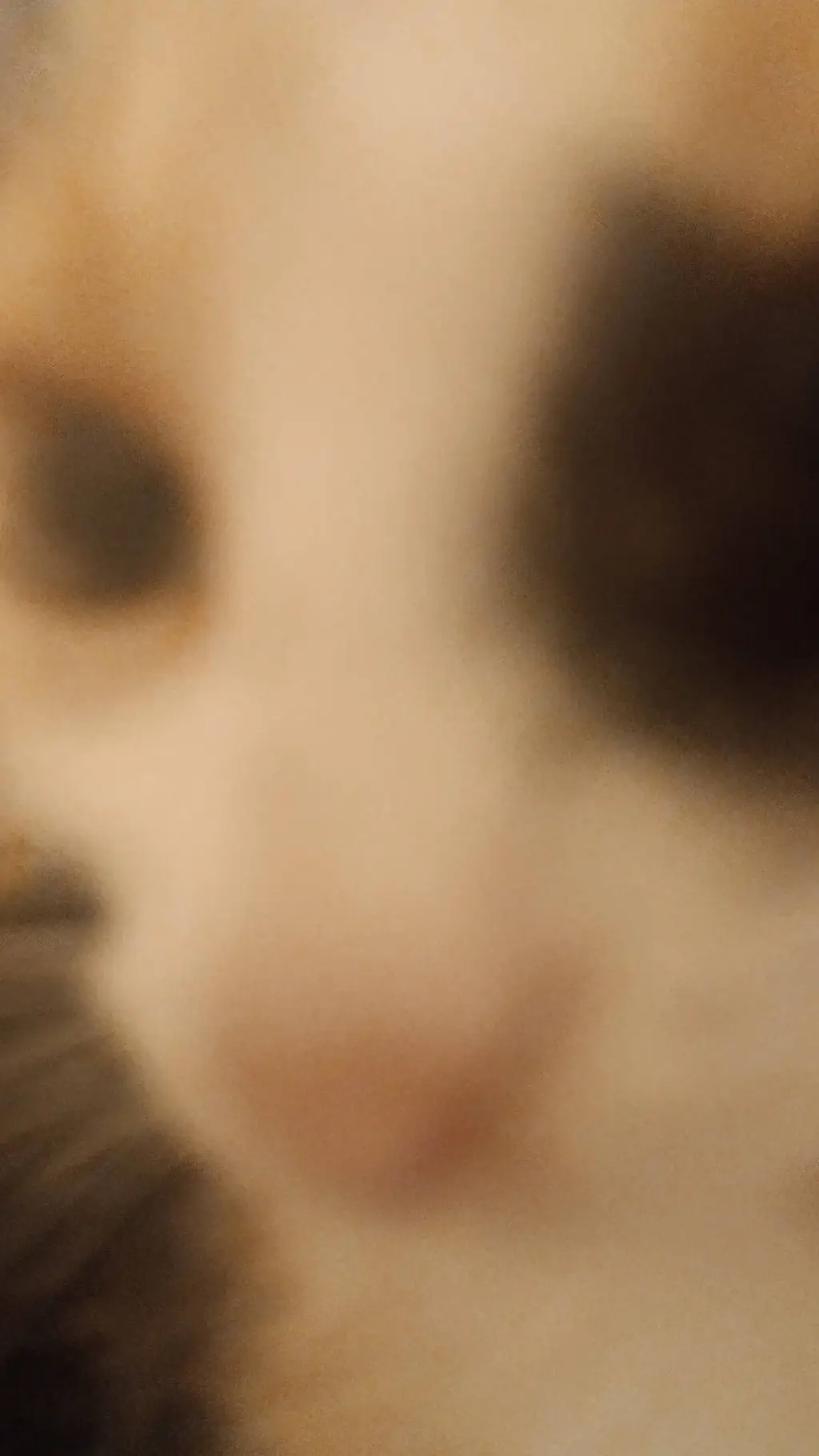 ai character: игрок background