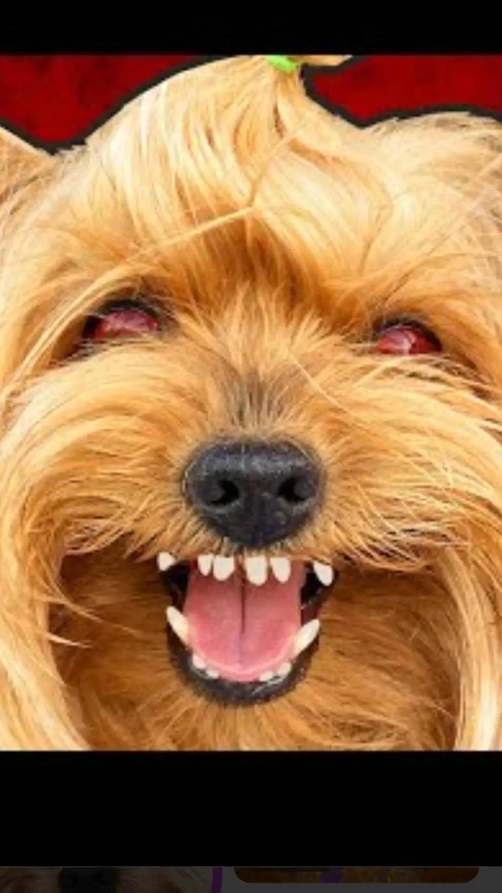 ai character: Пес мики background