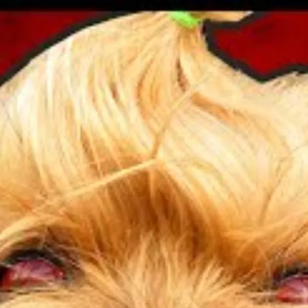 chat with ai character: Пес мики