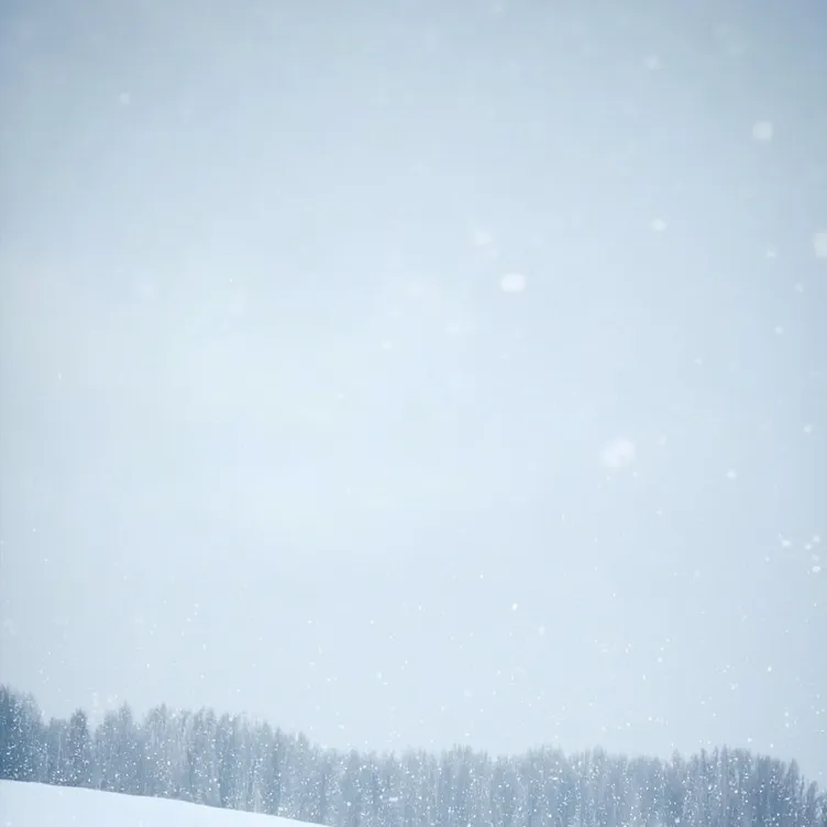 chat with ai character: what a snowy day!