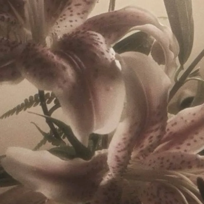 chat with ai character: Adam