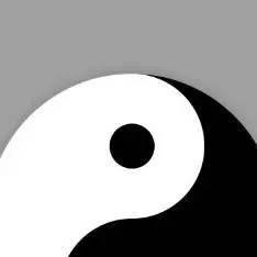 chat with ai character: ☯️YIN and YANG☯️