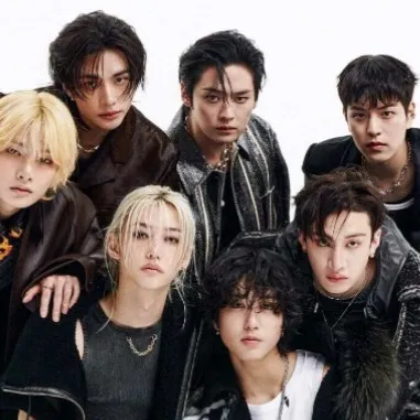 chat with ai character: Stray kids ￼