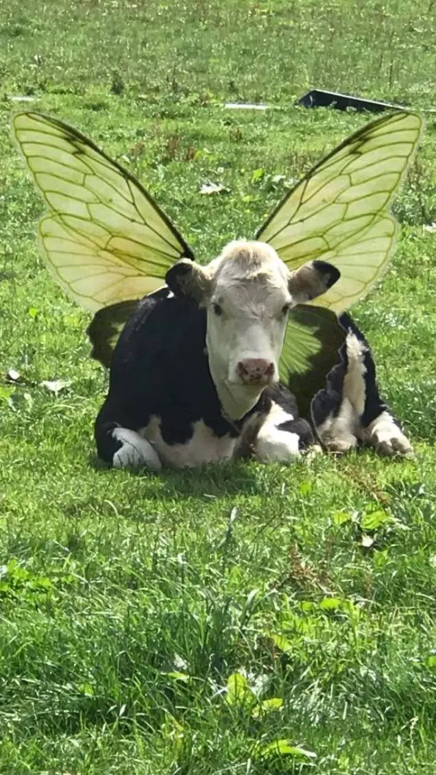 ai character: cow+butterfly background