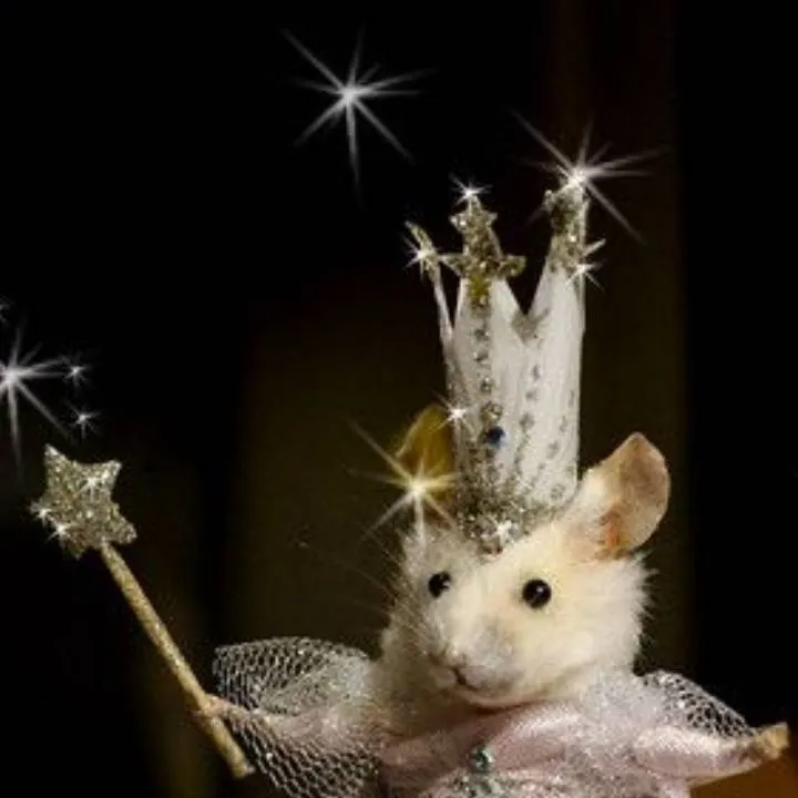 chat with ai character: ✨🐭magical rat 🐭✨