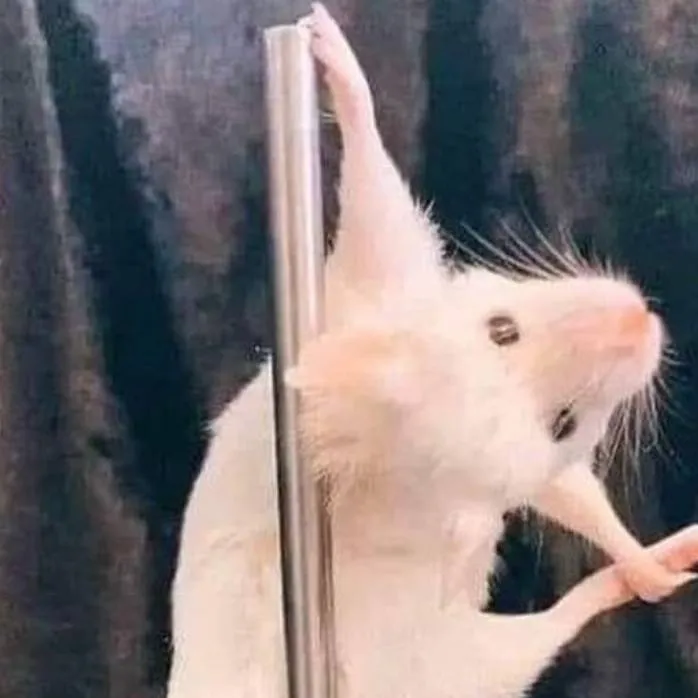 chat with ai character: FS chaos?!