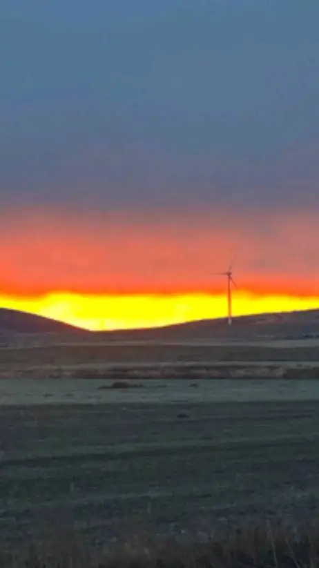 ai character: FORSAKEN  background