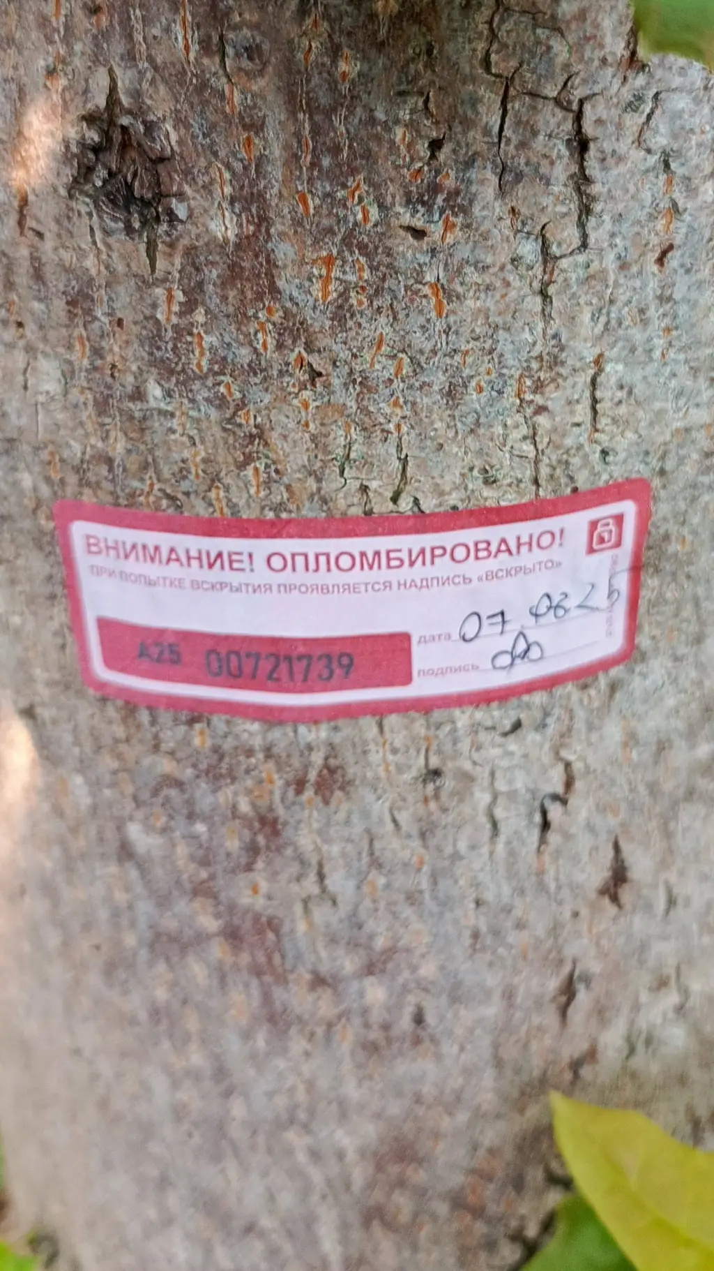 ai character: Пломба background