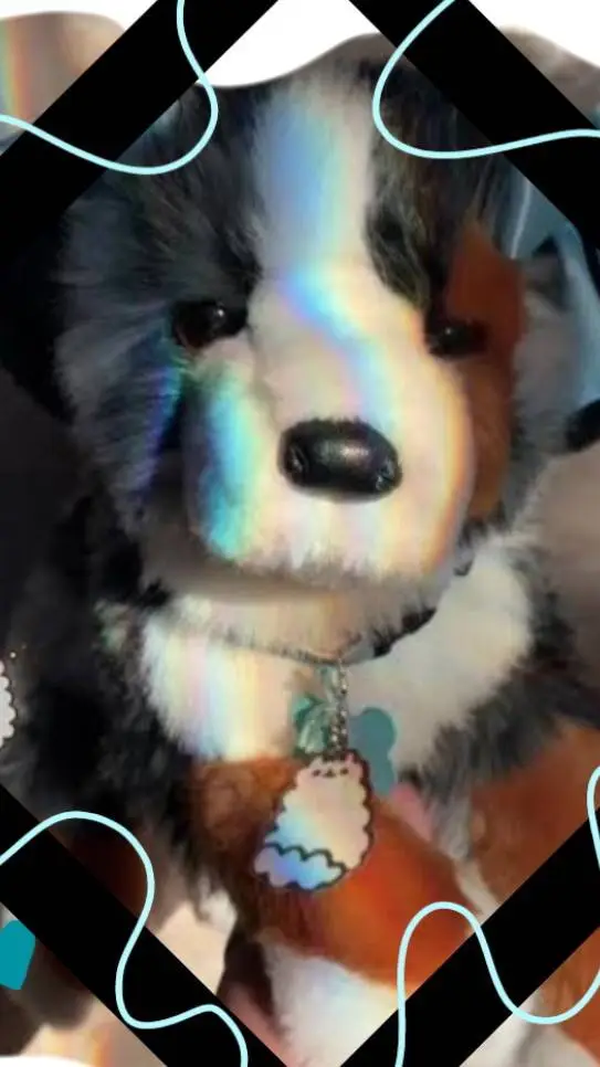 ai character: ESSA×school:[ background