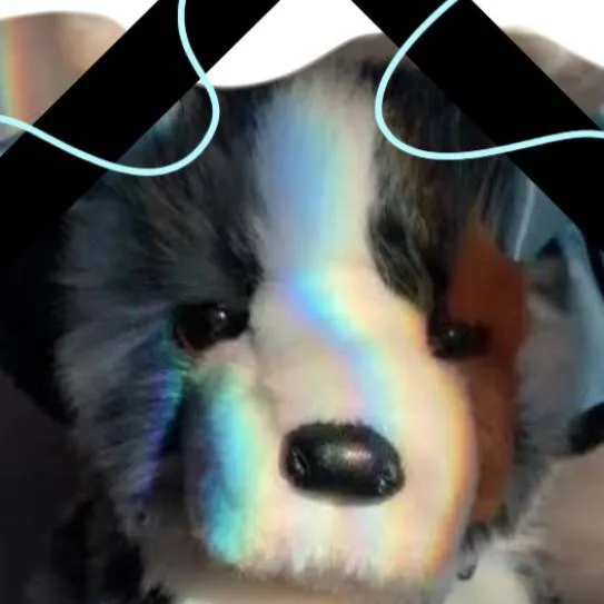 chat with ai character: ESSA×school:[