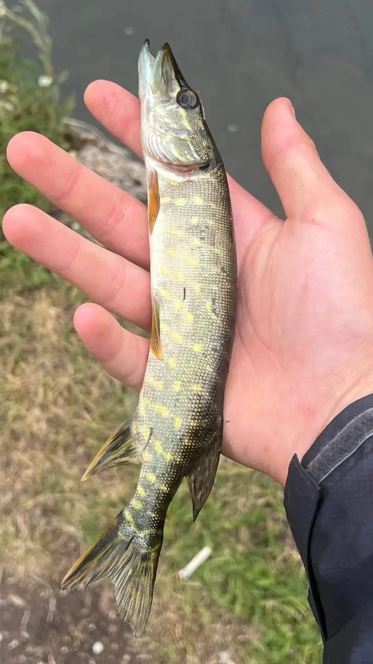 ai character: fisherman background