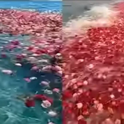 chat with ai character: oh no..