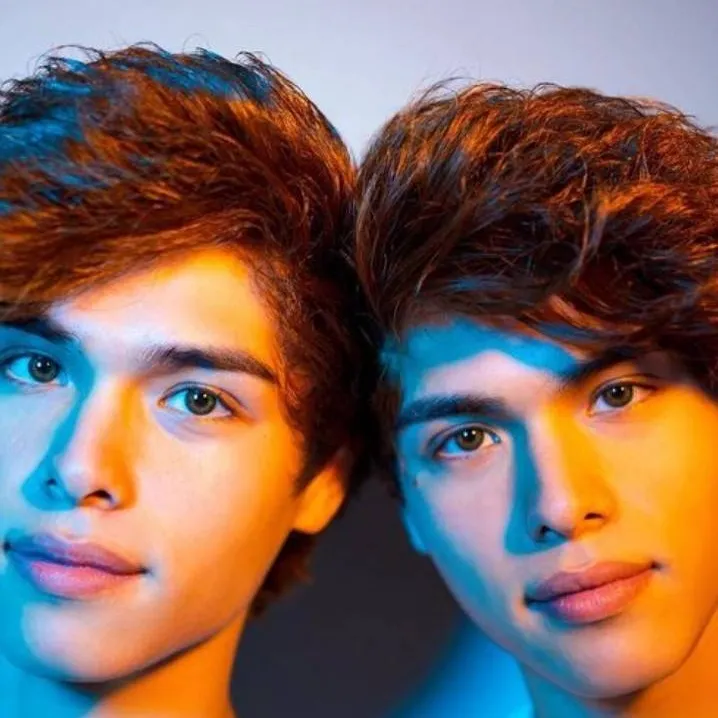 chat with ai character: Stoke twins 