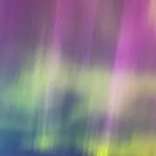 chat with ai character: Liora