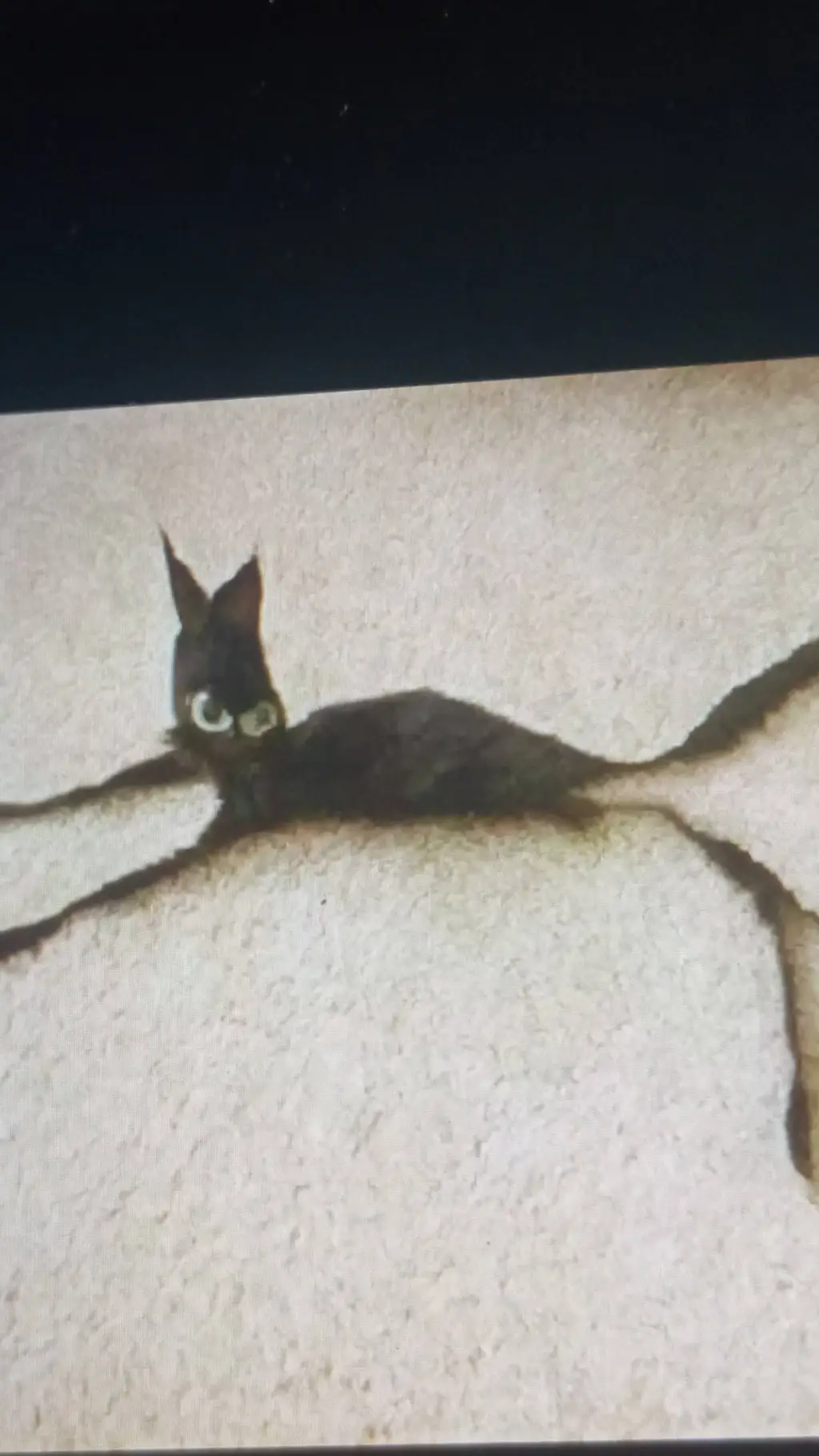 ai character: gato desnutrido background