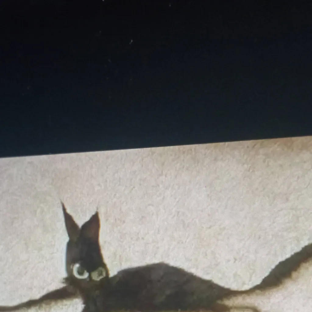 chat with ai character: gato desnutrido