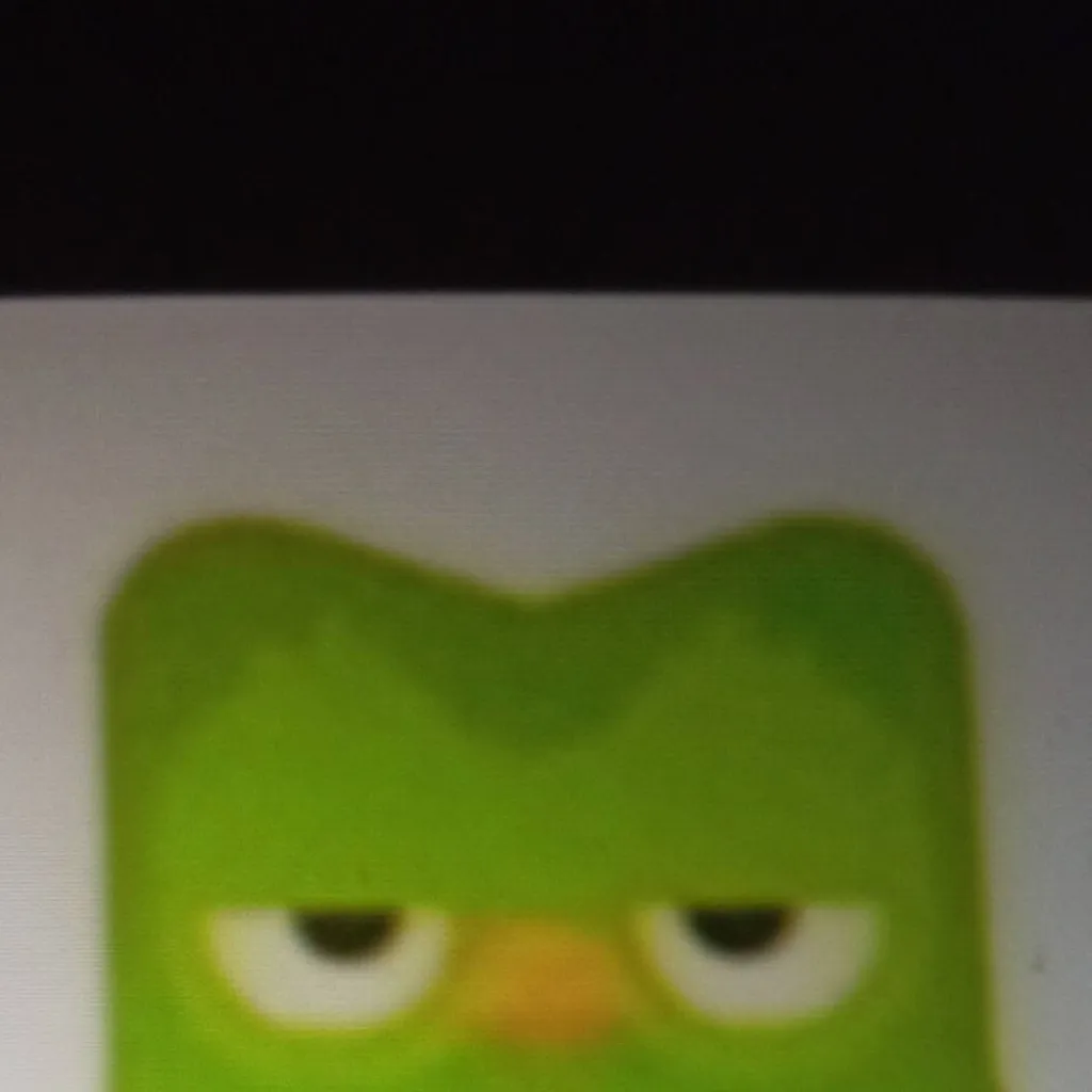 chat with ai character: Duolingo
