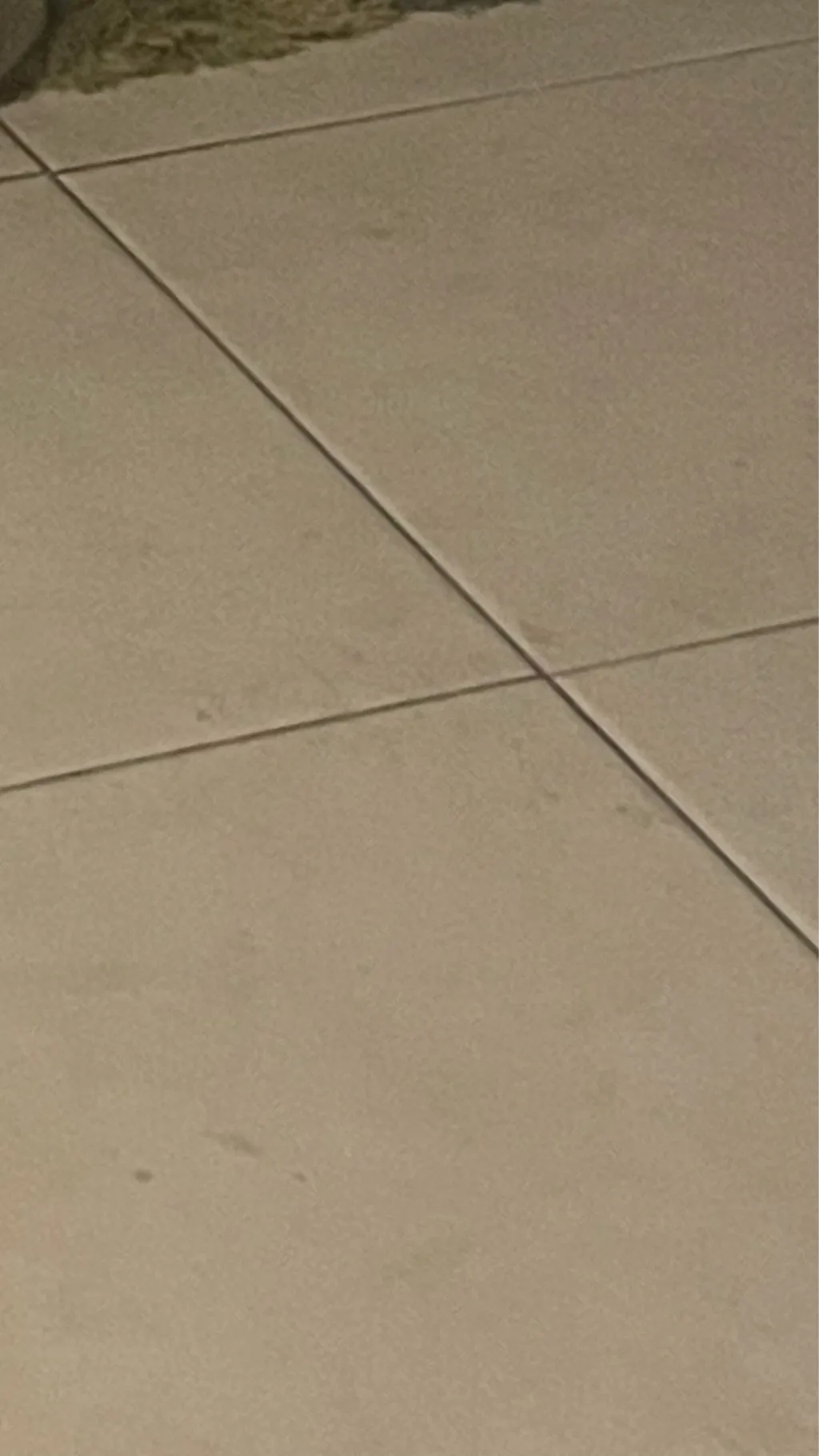 ai character: J background